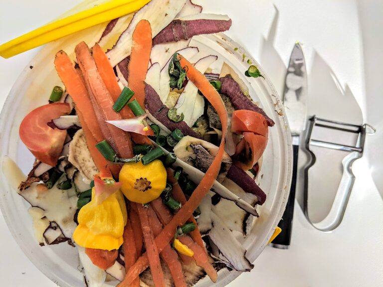 Modi efficaci per ridurre gli sprechi alimentari a casa