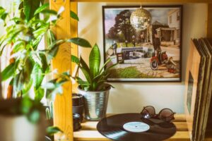 Come rinfrescare la casa con le piante: guida pratica e consigli utili