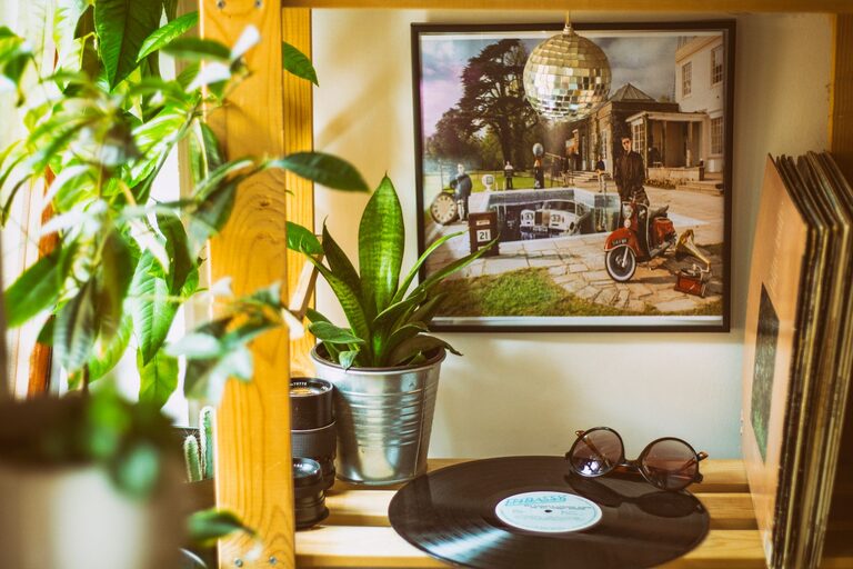 Come rinfrescare la casa con le piante: guida pratica e consigli utili